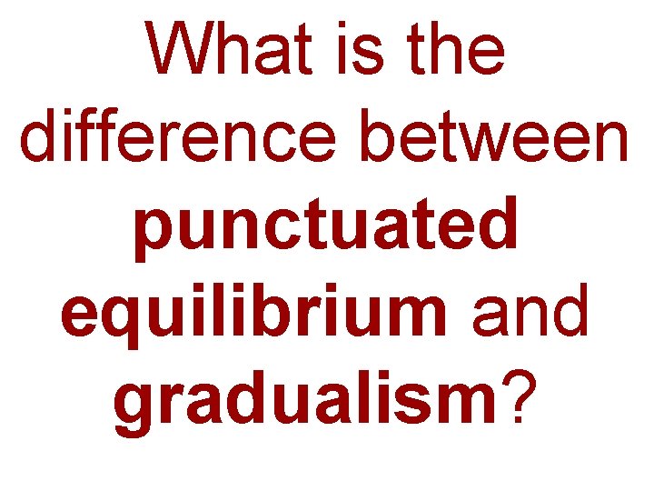 What is the difference between punctuated equilibrium and gradualism? 