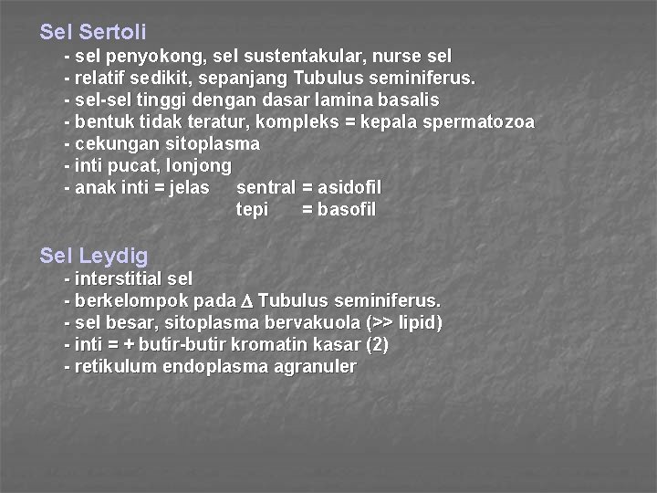 Sel Sertoli - sel penyokong, sel sustentakular, nurse sel - relatif sedikit, sepanjang Tubulus