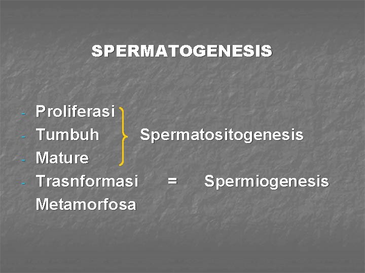 SPERMATOGENESIS - Proliferasi Tumbuh Spermatositogenesis Mature Trasnformasi = Spermiogenesis Metamorfosa 