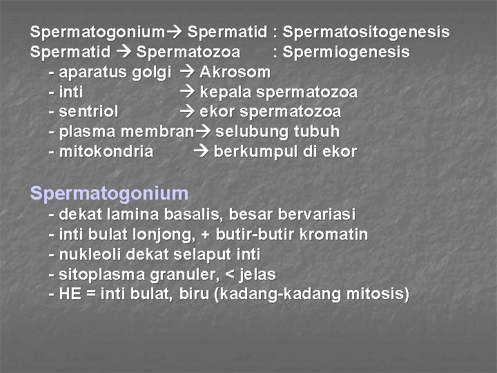 Spermatogonium Spermatid : Spermatositogenesis Spermatid Spermatozoa : Spermiogenesis - aparatus golgi Akrosom - inti