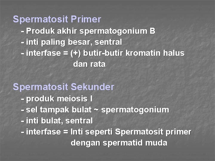 Spermatosit Primer - Produk akhir spermatogonium B - inti paling besar, sentral - interfase