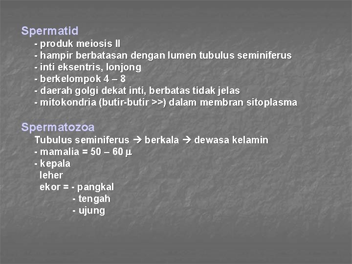 Spermatid - produk meiosis II - hampir berbatasan dengan lumen tubulus seminiferus - inti