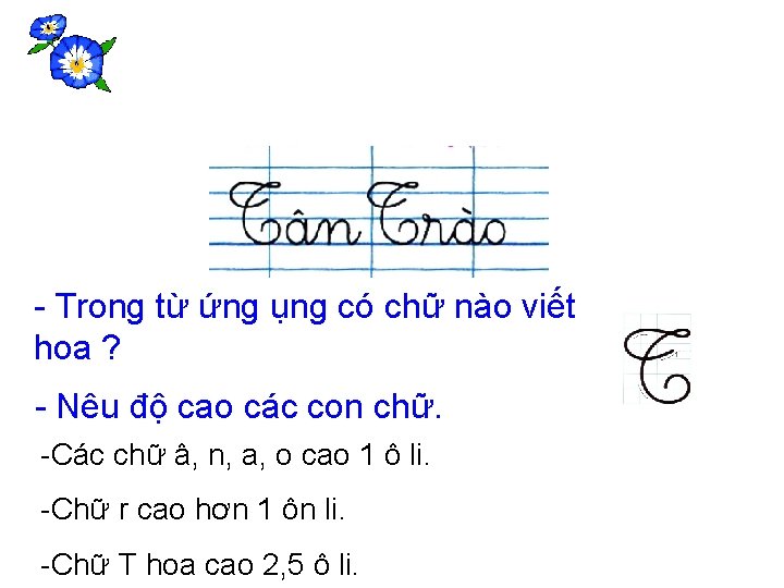 - Trong từ ứng ụng có chữ nào viết hoa ? - Nêu độ