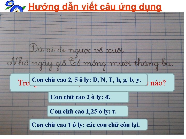 Hướng dẫn viết câu ứng dụng Con chữ cao 2, 5 ô ly: D,