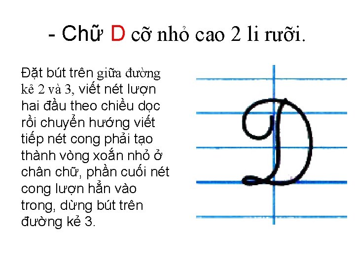 - Chữ D cỡ nhỏ cao 2 li rưỡi. Đặt bút trên giữa đường