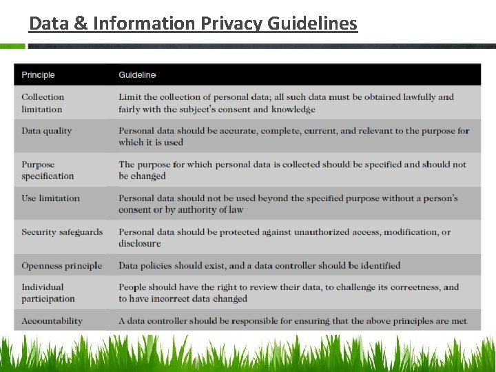 Data & Information Privacy Guidelines 