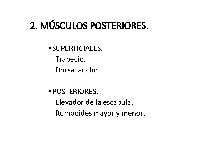 2. MÚSCULOS POSTERIORES. • SUPERFICIALES. Trapecio. Dorsal ancho. • POSTERIORES. Elevador de la escápula.