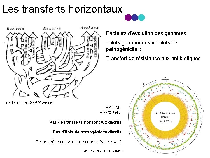 Les transferts horizontaux Facteurs d’évolution des génomes « îlots génomiques » « îlots de