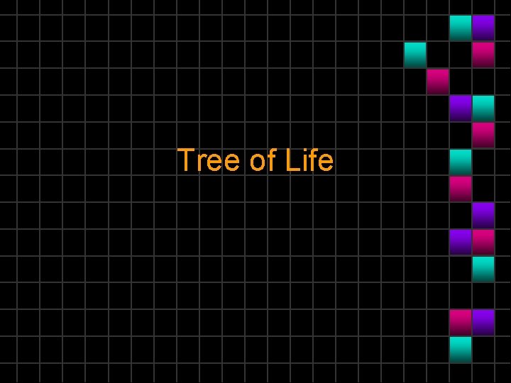 Tree of Life 