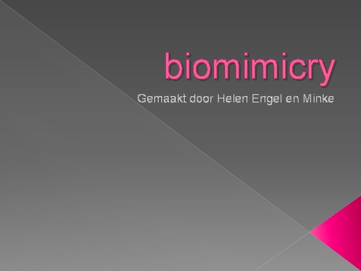 biomimicry Gemaakt door Helen Engel en Minke 