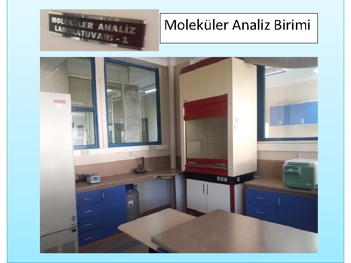 Moleküler Analiz Birimi 