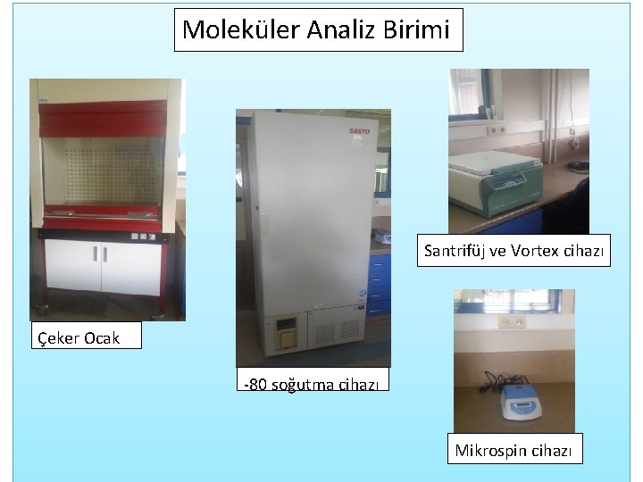 Moleküler Analiz Birimi Santrifüj ve Vortex cihazı Çeker Ocak -80 soğutma cihazı Mikrospin cihazı