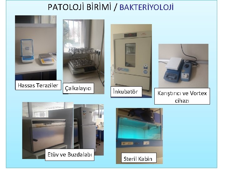 PATOLOJİ BİRİMİ / BAKTERİYOLOJİ Hassas Teraziler Çalkalayıcı Etüv ve Buzdalabı İnkubatör Steril Kabin Karıştırıcı