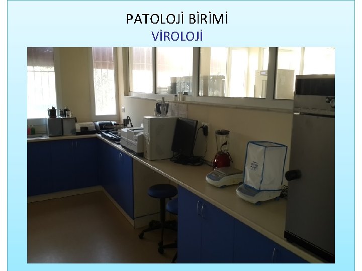 PATOLOJİ BİRİMİ VİROLOJİ 