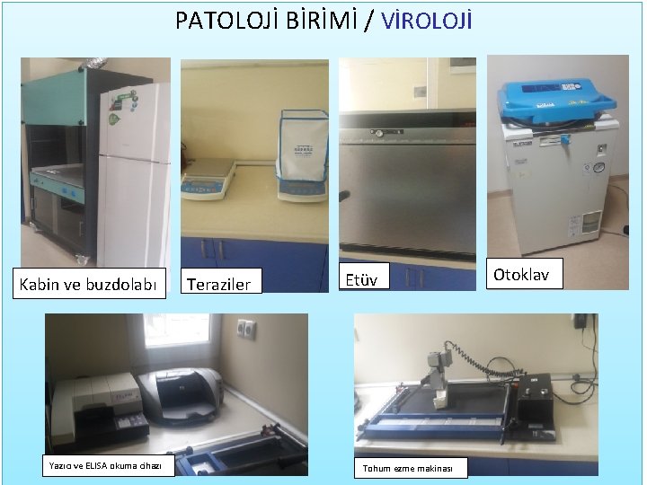 PATOLOJİ BİRİMİ / VİROLOJİ Kabin ve buzdolabı Yazıcı ve ELISA okuma cihazı Teraziler Etüv