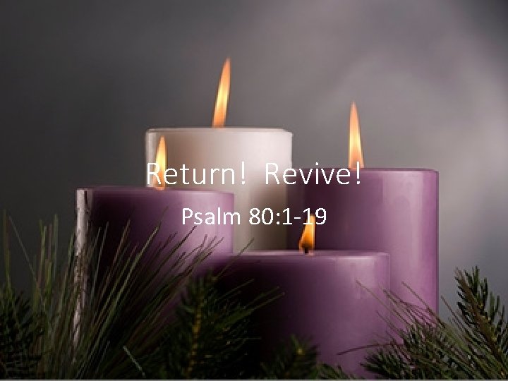 Return! Revive! Psalm 80: 1 -19 