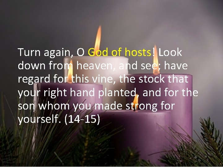 Turn again, O God of hosts! Look down from heaven, and see; have regard