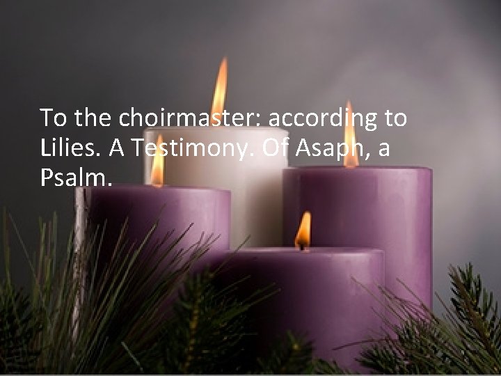 To the choirmaster: according to Lilies. A Testimony. Of Asaph, a Psalm. 