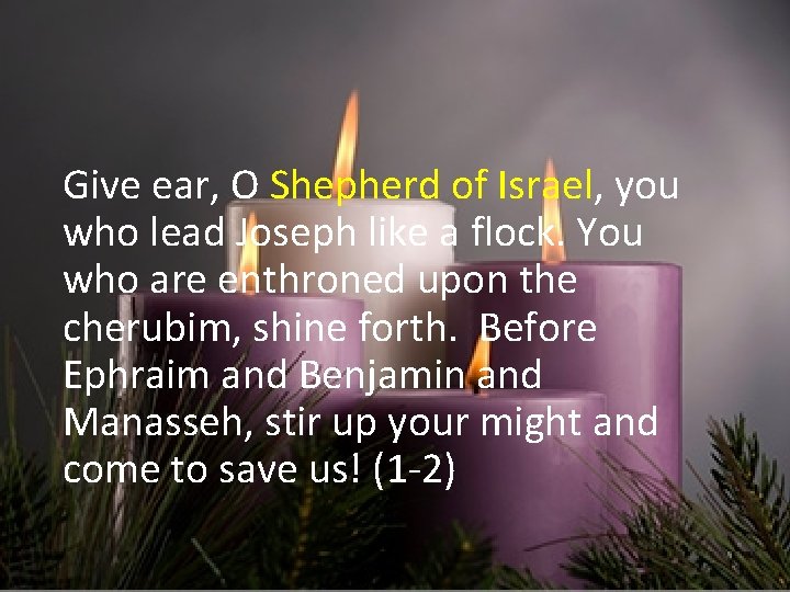 Give ear, O Shepherd of Israel, you who lead Joseph like a flock. You