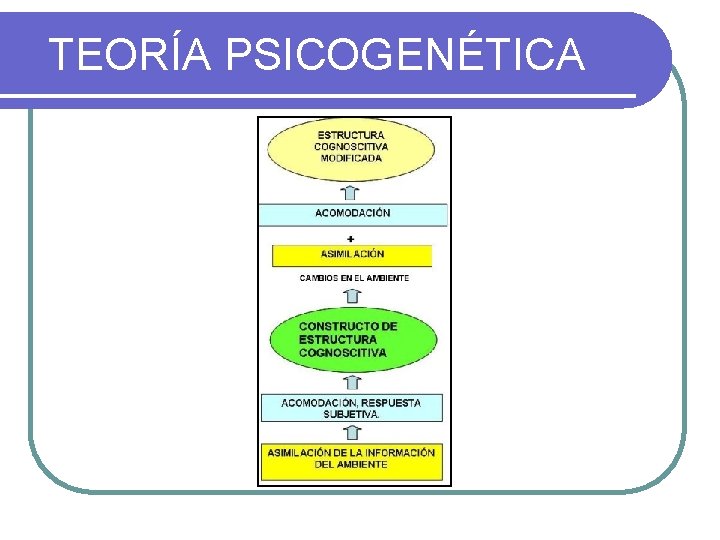 TEORÍA PSICOGENÉTICA 