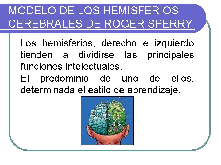 MODELO DE LOS HEMISFERIOS CEREBRALES DE ROGER SPERRY Los hemisferios, derecho e izquierdo tienden