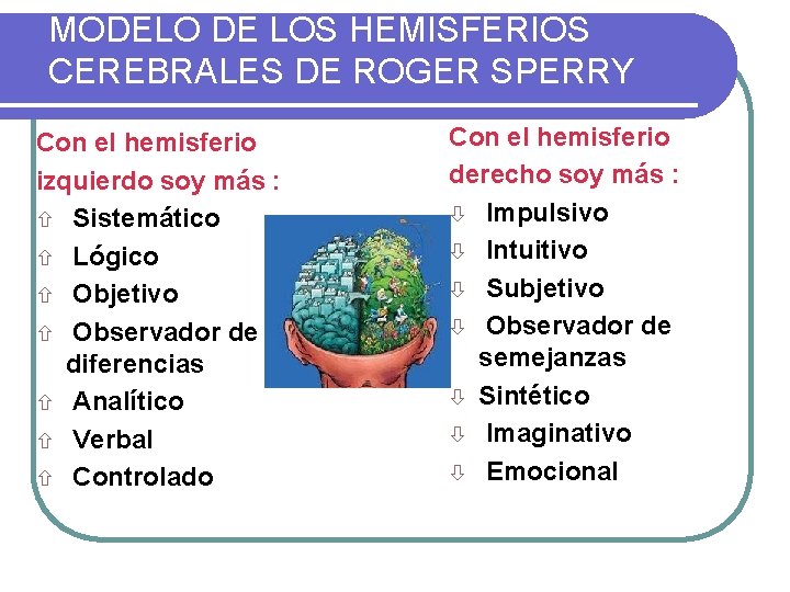 MODELO DE LOS HEMISFERIOS CEREBRALES DE ROGER SPERRY Con el hemisferio izquierdo soy más