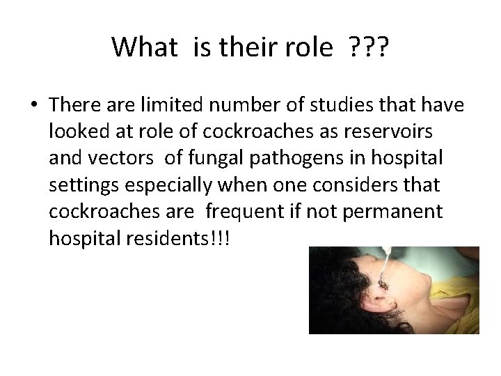 What is their role ? ? ? • There are limited number of studies