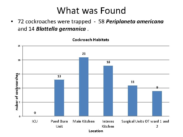What was Found • 72 cockroaches were trapped - 58 Periplaneta americana and 14