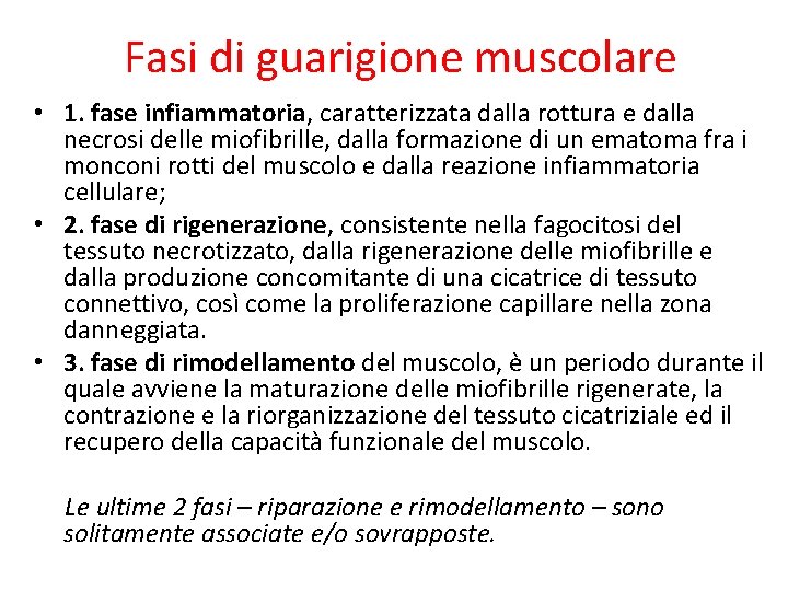 Fasi di guarigione muscolare • 1. fase infiammatoria, caratterizzata dalla rottura e dalla necrosi