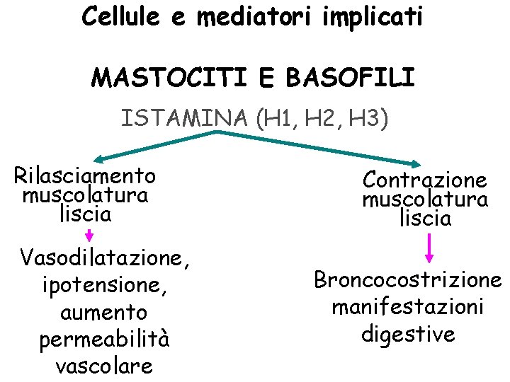 Cellule e mediatori implicati MASTOCITI E BASOFILI ISTAMINA (H 1, H 2, H 3)