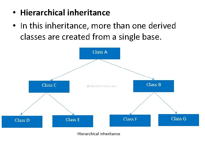  • Hierarchical inheritance • In this inheritance, more than one derived classes are