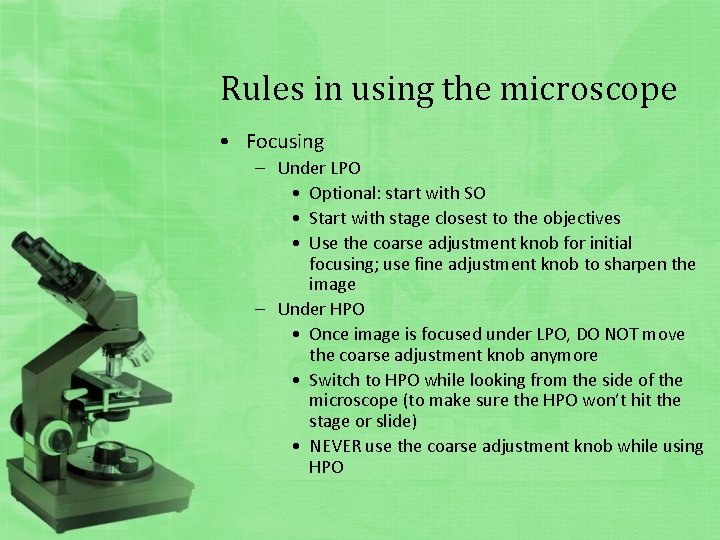 Rules in using the microscope • Focusing – Under LPO • Optional: start with