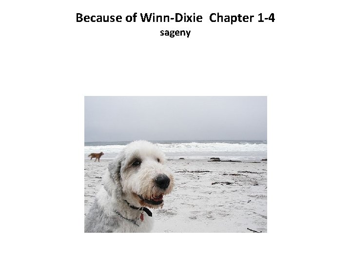 Because of Winn-Dixie Chapter 1 -4 sageny 