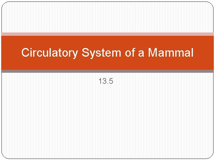 Circulatory System of a Mammal 13. 5 