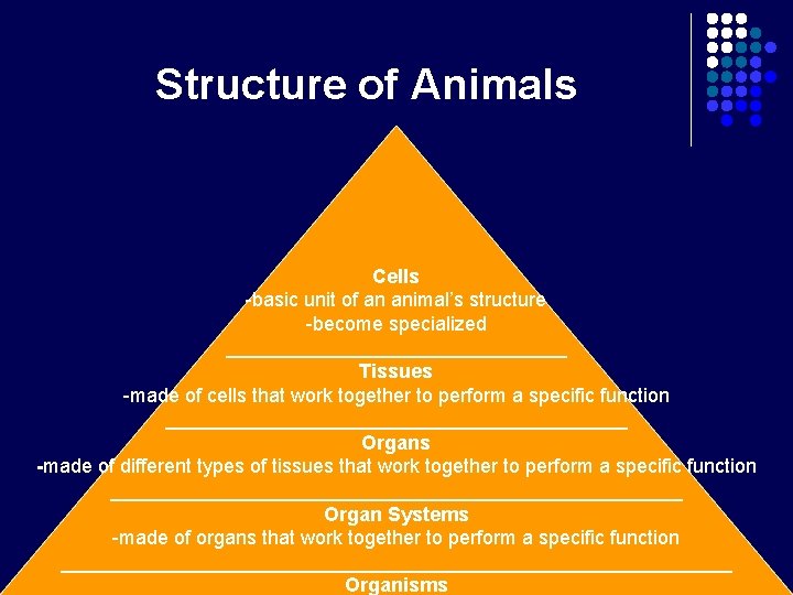 Structure of Animals Cells -basic unit of an animal’s structure -become specialized ________________ Tissues