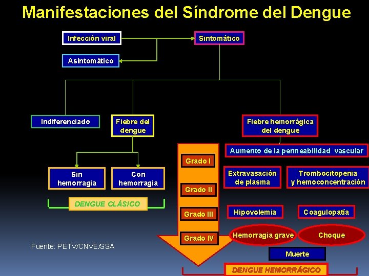 Manifestaciones del Síndrome del Dengue Infección viral Sintomático Asintomático Indiferenciado Fiebre del dengue Manifestaciones del Síndrome del Dengue Infección viral Sintomático Asintomático Indiferenciado Fiebre del dengue