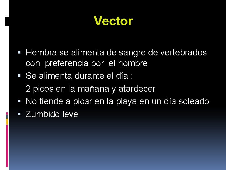 Vector Hembra se alimenta de sangre de vertebrados con preferencia por el hombre Se Vector Hembra se alimenta de sangre de vertebrados con preferencia por el hombre Se
