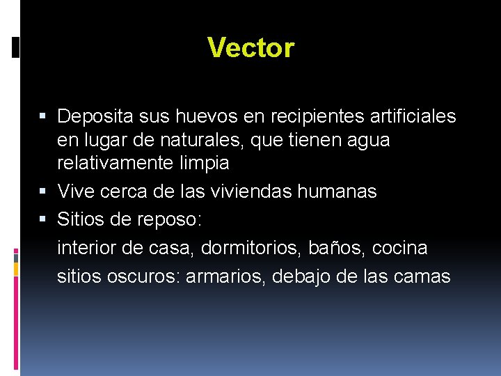 Vector Deposita sus huevos en recipientes artificiales en lugar de naturales, que tienen agua Vector Deposita sus huevos en recipientes artificiales en lugar de naturales, que tienen agua