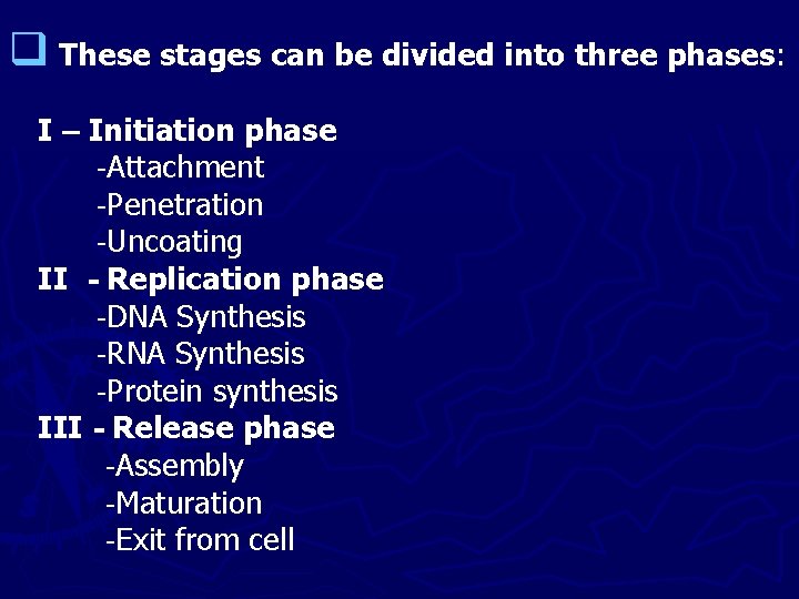 q These stages can be divided into three phases: I – Initiation phase -Attachment