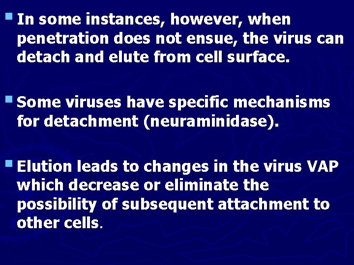 § In some instances, however, when penetration does not ensue, the virus can detach