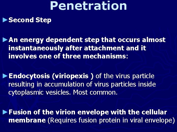 Penetration ►Second Step ►An energy dependent step that occurs almost instantaneously after attachment and