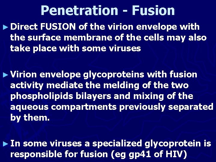 Penetration - Fusion ► Direct FUSION of the virion envelope with the surface membrane