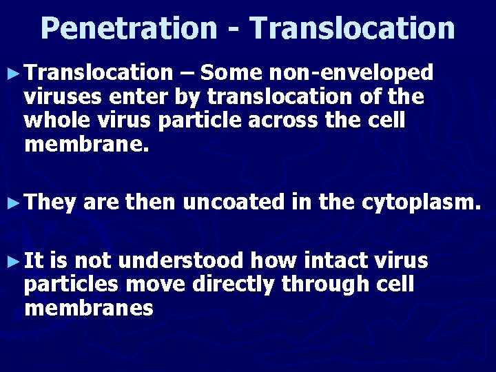 Penetration - Translocation ► Translocation – Some non-enveloped viruses enter by translocation of the