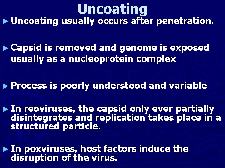 ► Uncoating usually occurs after penetration. ► Capsid is removed and genome is exposed