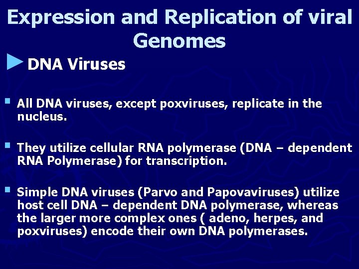 Expression and Replication of viral Genomes ►DNA Viruses § All DNA viruses, except poxviruses,