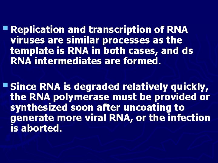 § Replication and transcription of RNA viruses are similar processes as the template is