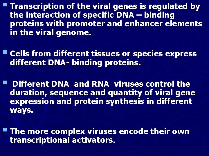 § Transcription of the viral genes is regulated by the interaction of specific DNA