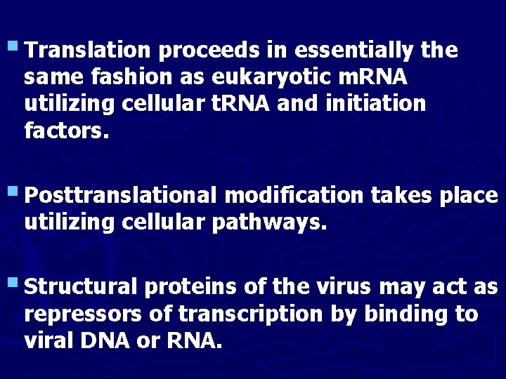 § Translation proceeds in essentially the same fashion as eukaryotic m. RNA utilizing cellular