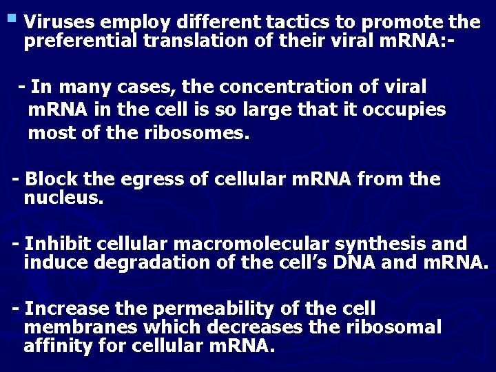 § Viruses employ different tactics to promote the preferential translation of their viral m.