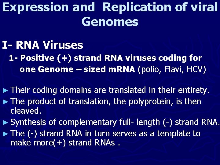 Expression and Replication of viral Genomes I- RNA Viruses 1 - Positive (+) strand